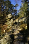 larchant