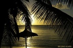 Ombre