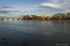 Avignon