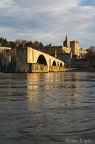 Avignon