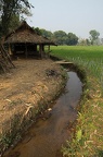 Thailande (11)