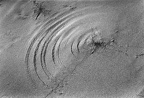 courbes et lignes-3