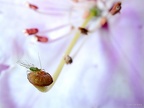 20120427110503-3063bd14