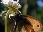 20120427110509-8d68d28a