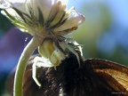 20120427110512-09936c80