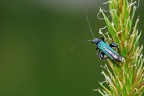 20120427110517-a8d8807f