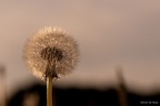 20120427110540-fe4ff823