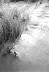 20120726220728-4a626bdd