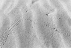 20120726220732-3de1dcf7