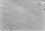 20120726220735-75a8aef3