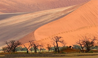 Grandes dunes de Sossusvlei.Desert du Namib. Namibie