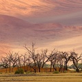 Grandes dunes de Sossusvlei.Desert du Namib.Namibie