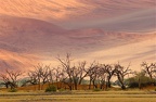 Grandes dunes de Sossusvlei.Desert du Namib.Namibie