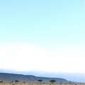 Lionne dans la plaine de Masai Mara.Kénya