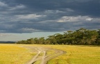 Rives du lac Nakuru avant l'orage. Kénya
