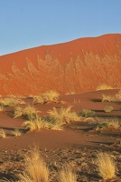 Dunes rouges de Sossusvlei à l'aube. Namibie
