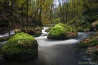 Calaux2012-44
