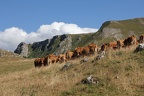 Roc de Toulau. Vercors