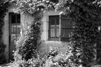 Mornac sur Seudre