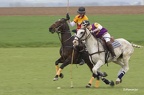 polo