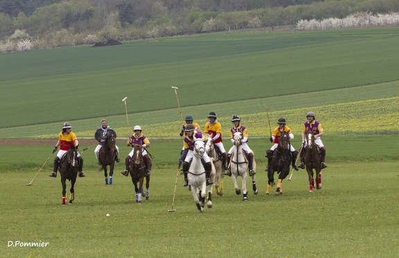 polo