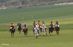 polo