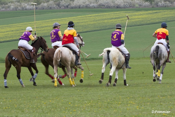polo