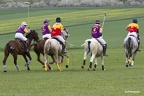 polo