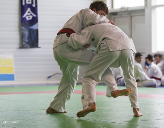 Judo
