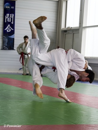Judo