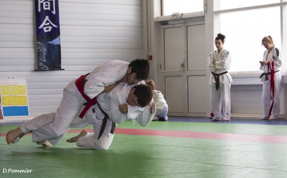 Judo