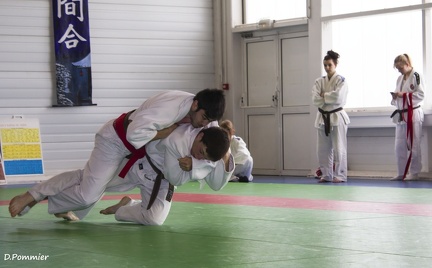 Judo
