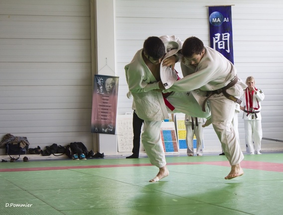 Judo