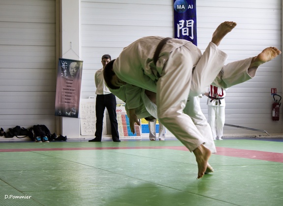 Judo