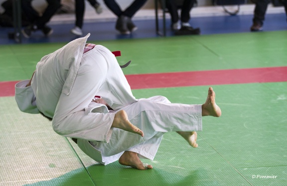 Judo