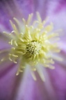 1305 5D0626