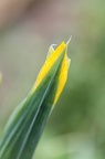 1305 5D0716