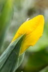 1305 5D0723