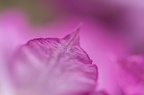1305 5D0730