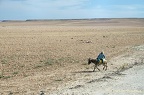 Maroc (6)