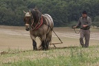 Labours d'antan