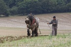 Labours d'antan