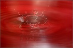 0908 50D17500