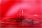 0908 50D17564