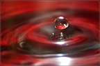 0908 50D17576