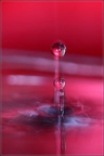 0908 50D17616
