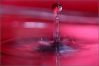 0908 50D17628