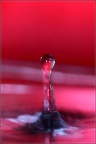 0908 50D17631