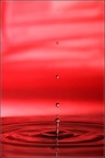 0908 50D17992