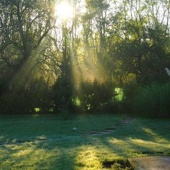 AMBIANCE 2